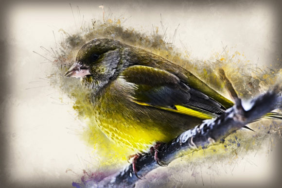 Download Grunge Style Bird Printable Graphics 04 - Print Collection
