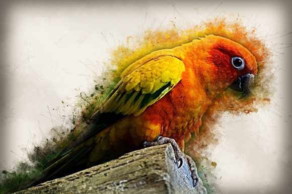 Download Grunge Style Bird Printable Graphics 08 - Print Collection