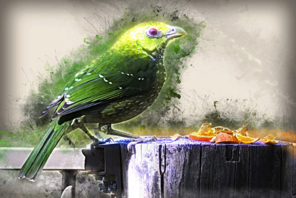Download Grunge Style Bird Printable Graphics 01 - Print Collection