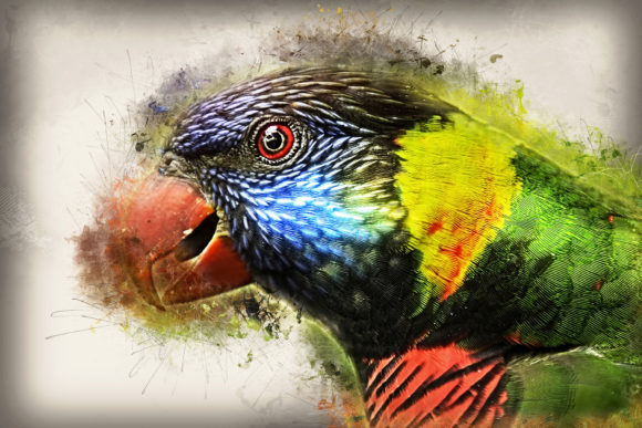 Download Grunge Style Bird Printable Graphics 02 - Print Collection