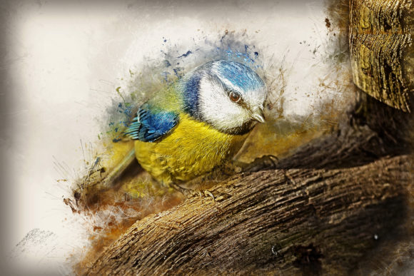 Download Grunge Style Bird Printable Graphics 05 - Print Collection