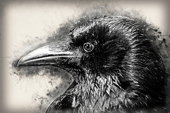 Download Grunge Style Bird Printable Graphics 06 - Print Collection