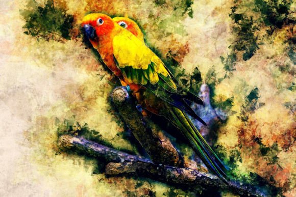 Download Bird Printable Graphics Pack# 06 - Print Collection
