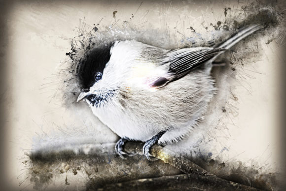 Download Grunge Style Bird Printable Graphics 10 - Print Collection
